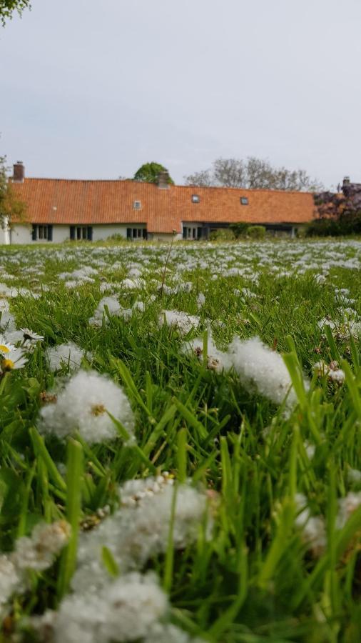 La Longere D'Ecottes Panzió Licques Kültér fotó